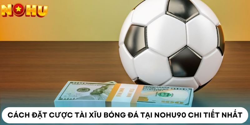 Cách đặt cược tài xĩu bóng đá tại Nohu90 chi tiết nhất